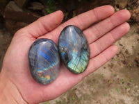 Polished Flashy Labradorite Palm Stones  x 25 From Tulear, Madagascar - TopRock