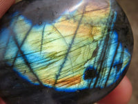 Polished Flashy Labradorite Palm Stones  x 25 From Tulear, Madagascar - TopRock