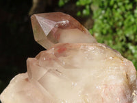 Natural Red Hematoid Phantom Quartz Clusters  x 5 From Karoi, Zimbabwe - Toprock Gemstones and Minerals 