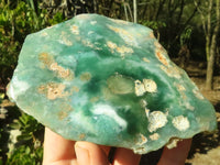 Polished One Side Polished Mtorolite Plates  x 3 From Zimbabwe - Toprock Gemstones and Minerals 