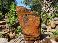 Natural Golden Blue Tigers Eye Specimen x 1 From Prieska, South Africa - TopRock