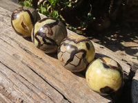 Polished Septaria Spheres x 4 From Mahajanga, Madagascar