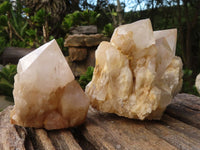 Natural Single Pineapple Candle Quartz Crystals  x 6 From Madagascar - Toprock Gemstones and Minerals 