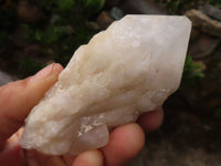 Natural Single Pineapple Candle Quartz Crystals  x 6 From Madagascar - Toprock Gemstones and Minerals 