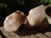 Natural Single Pineapple Candle Quartz Crystals  x 6 From Madagascar - Toprock Gemstones and Minerals 