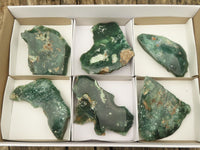 Polished Green Mtorolite / Emerald Chrome Chrysoprase Slices  x 6 From Zimbabwe - TopRock