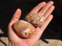 Polished Coral Flower Agate Palm Stones  x 12 From Madagascar - Toprock Gemstones and Minerals 