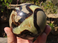 Polished Septaria Spheres x 4 From Mahajanga, Madagascar