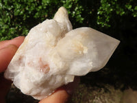 Natural Single Pineapple Candle Quartz Crystals  x 6 From Madagascar - Toprock Gemstones and Minerals 