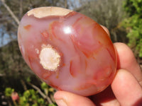 Polished Coral Flower Agate Palm Stones  x 12 From Madagascar - Toprock Gemstones and Minerals 