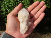 Natural Single Pineapple Candle Quartz Crystals  x 6 From Madagascar - Toprock Gemstones and Minerals 