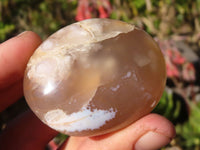 Polished Coral Flower Agate Palm Stones  x 12 From Madagascar - Toprock Gemstones and Minerals 