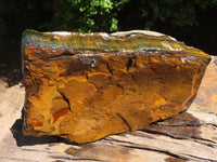 Natural Golden Blue Tigers Eye Specimen x 1 From Prieska, South Africa - TopRock