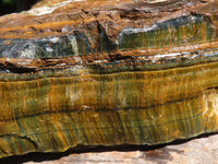 Natural Golden Blue Tigers Eye Specimen x 1 From Prieska, South Africa - TopRock