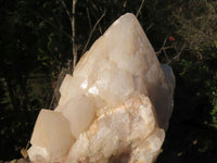 Natural Katana Cascading Quartz Love star Termination Cluster & Crystals x 3 From Ambatfinhandrana, Madagascar - TopRock