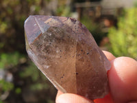 Natural Clear Smokey Quartz Crystals  x 20 From Malawi