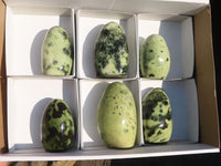 Polished  Green Leopard Stone Standing Free Forms  x 6 From Zimbabwe