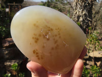 Polished Mixed Agate Standing Free Forms x 4 From West Coast, Madagascar