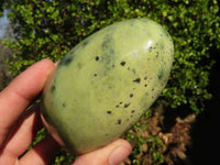 Polished  Green Leopard Stone Standing Free Forms  x 6 From Zimbabwe