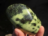 Polished  Green Leopard Stone Standing Free Forms  x 6 From Zimbabwe