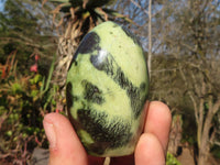 Polished  Green Leopard Stone Standing Free Forms  x 6 From Zimbabwe