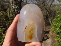 Polished Mixed Agate Standing Free Forms x 4 From West Coast, Madagascar