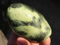 Polished  Green Leopard Stone Standing Free Forms  x 6 From Zimbabwe