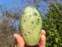 Polished  Green Leopard Stone Standing Free Forms  x 6 From Zimbabwe