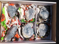 Natural Blue Celestite Crystal Specimens  x 6 From Sakoany, Madagascar