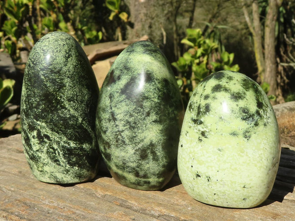 Polished Leopard Stone (Serpentine) Standing Display Free Forms x 3 From Zimbabwe - Toprock Gemstones and Minerals 