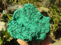 Natural Chatoyant Silky Malachite Specimens  x 2 From Kasompe, Congo