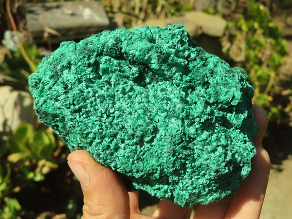 Natural Chatoyant Silky Malachite Specimens  x 2 From Kasompe, Congo