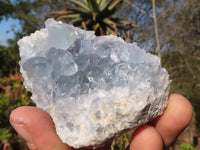 Natural Blue Celestite Crystal Specimens  x 6 From Sakoany, Madagascar