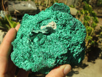 Natural Chatoyant Silky Malachite Specimens  x 2 From Kasompe, Congo