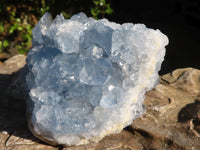 Natural Blue Celestite Crystal Specimens  x 6 From Sakoany, Madagascar