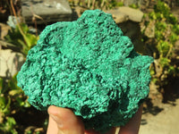 Natural Chatoyant Silky Malachite Specimens  x 2 From Kasompe, Congo