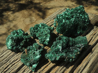 Natural Chatoyant Silky Malachite Specimens  x 5 From Kasompe, Congo - TopRock