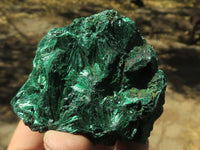 Natural Chatoyant Silky Malachite Specimens  x 5 From Kasompe, Congo - TopRock