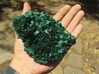 Natural Chatoyant Silky Malachite Specimens  x 5 From Kasompe, Congo - TopRock