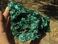 Natural Chatoyant Silky Malachite Specimens  x 5 From Kasompe, Congo - TopRock