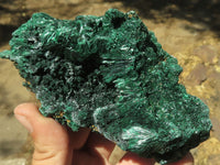 Natural Chatoyant Silky Malachite Specimens  x 5 From Kasompe, Congo - TopRock