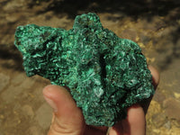 Natural Chatoyant Silky Malachite Specimens  x 5 From Kasompe, Congo - TopRock