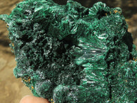 Natural Chatoyant Silky Malachite Specimens  x 5 From Kasompe, Congo - TopRock