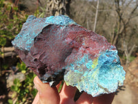 Natural Rough Shattuckite Cobbed Specimens x 12 From Kaokoveld, Namibia