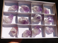 Natural  Jacaranda Amethyst Single Crystals  x 12 From Mambwe, Zambia - Toprock Gemstones and Minerals 