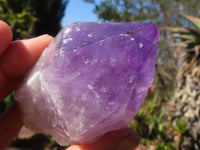 Natural  Jacaranda Amethyst Single Crystals  x 12 From Mambwe, Zambia - Toprock Gemstones and Minerals 