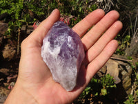 Natural  Jacaranda Amethyst Single Crystals  x 12 From Mambwe, Zambia - Toprock Gemstones and Minerals 