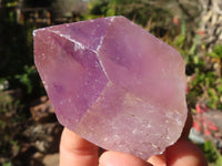 Natural  Jacaranda Amethyst Single Crystals  x 12 From Mambwe, Zambia - Toprock Gemstones and Minerals 