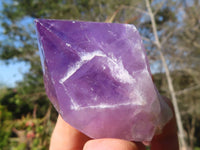 Natural  Jacaranda Amethyst Single Crystals  x 12 From Mambwe, Zambia - Toprock Gemstones and Minerals 