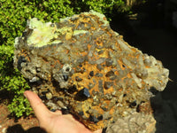 Natural Large Hyalite Opal Specimen x 1 From Erongo, Namibia